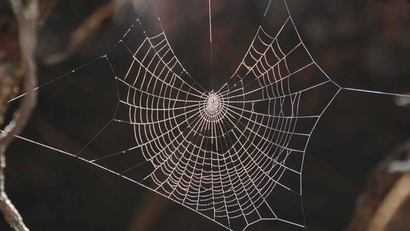 世界杯赛事预测网 下载与资源专区
