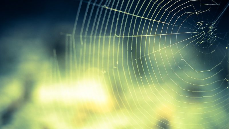 世界杯赛事预测网 下载与资源专区