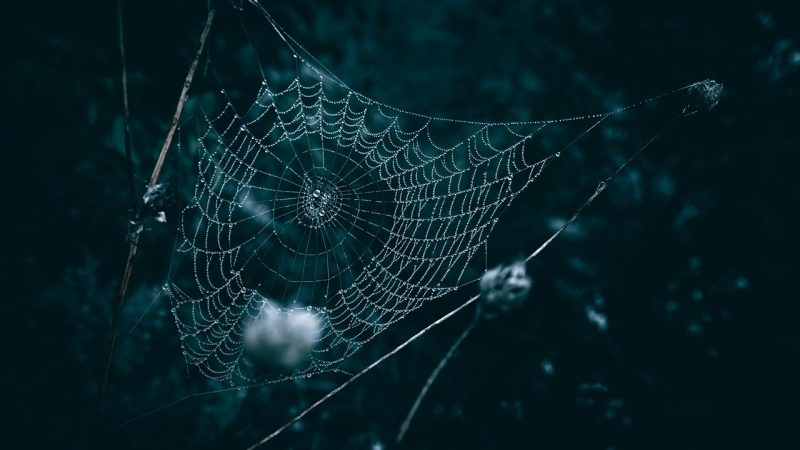 溢价从哪里来？四个子因子拆解